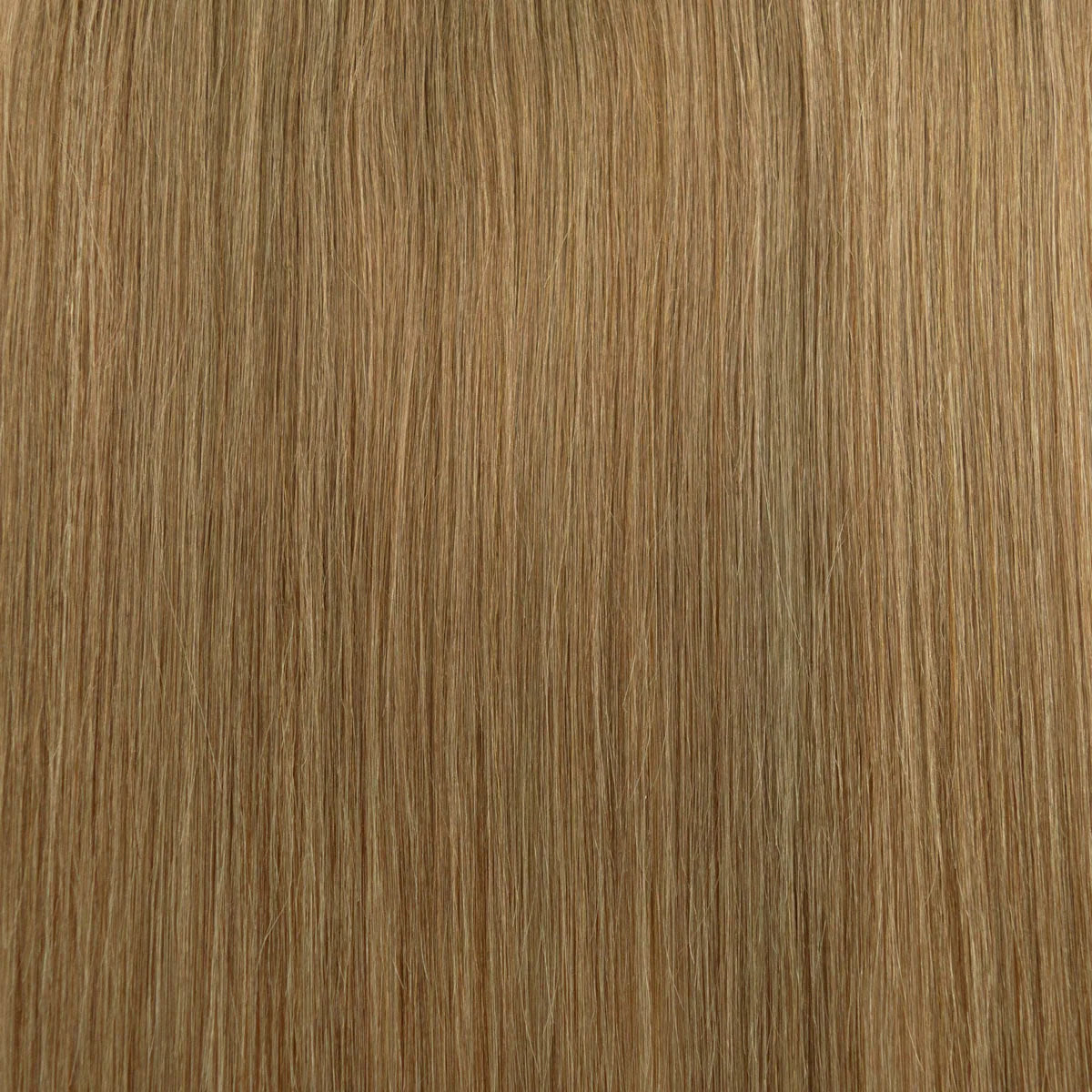 Genius Weft (25g)