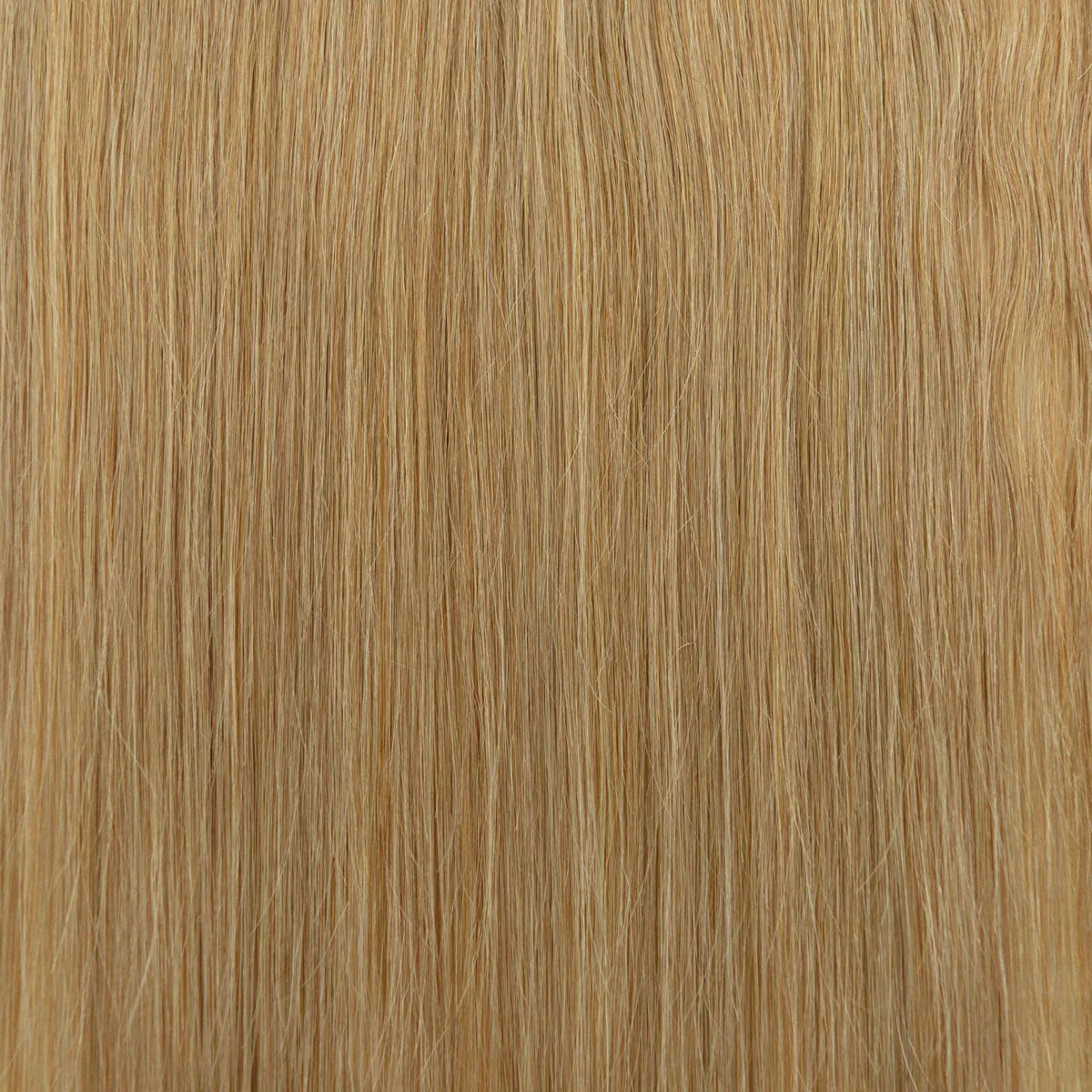 Genius Weft (25g)