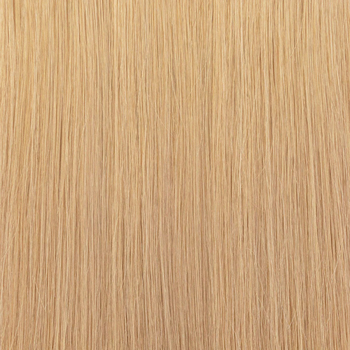 Genius Weft (25g)